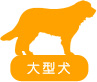 大型犬