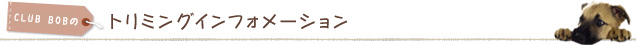 注意点